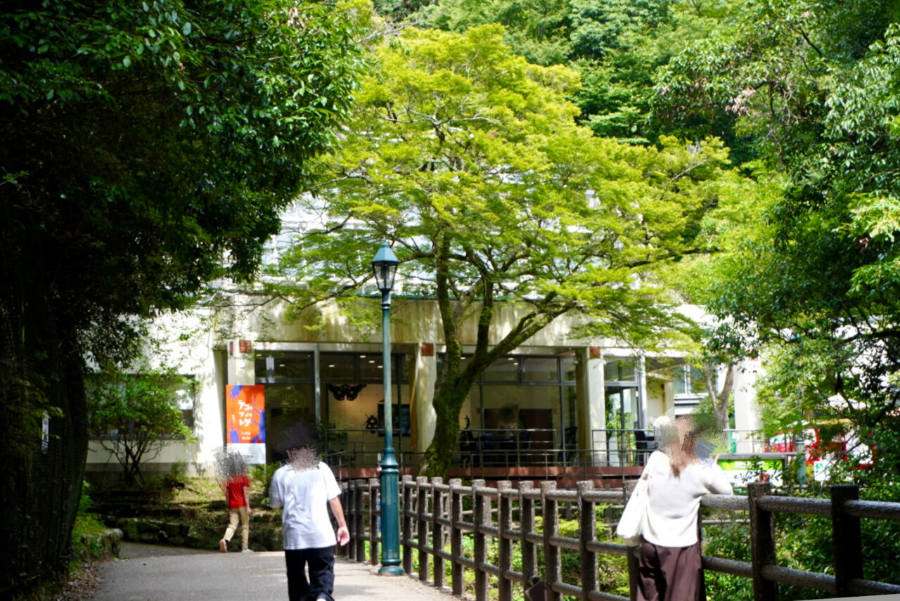 箕面公園昆虫館アゴとツノとトゲ2026年8月
