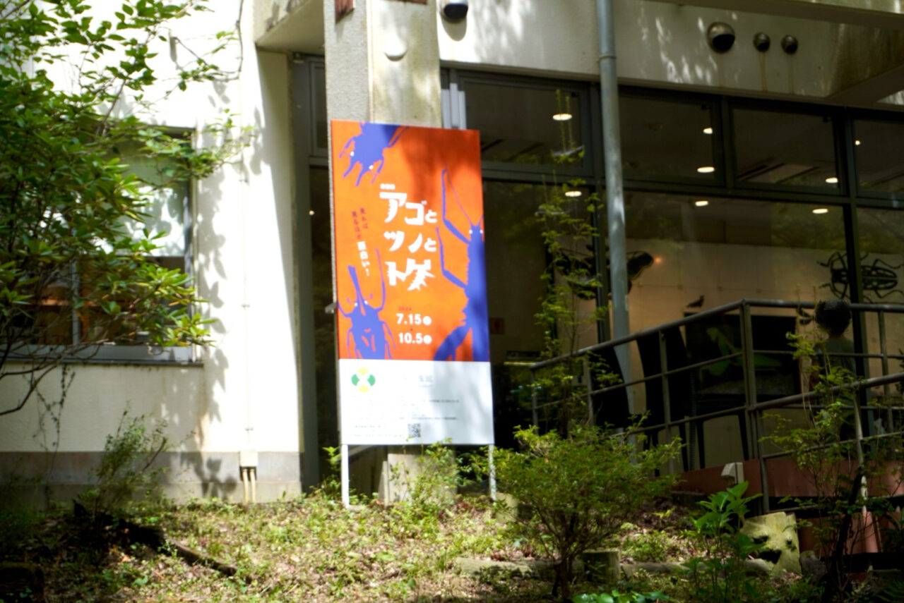 箕面公園昆虫館アゴとツノとトゲ2026年8月