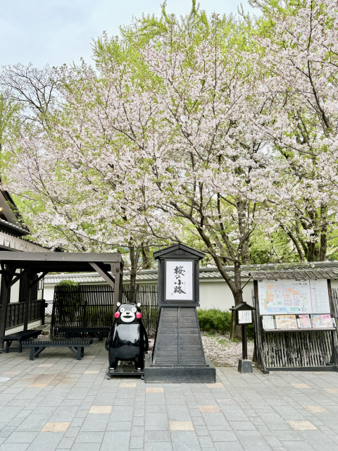 第38回池田市商業祭池田駅前公園2026年10月