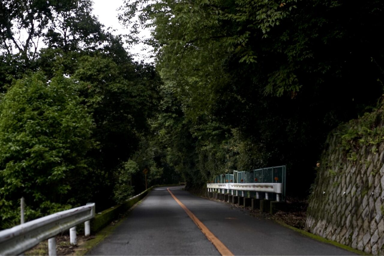 箕面公園ドライブウェイ2026年11月